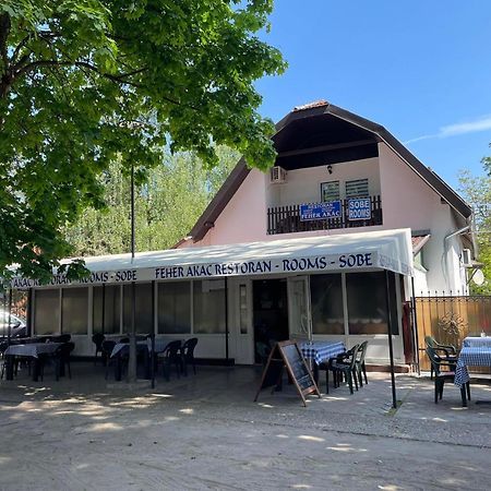 Feher Akac Guest House Palić Exterior foto